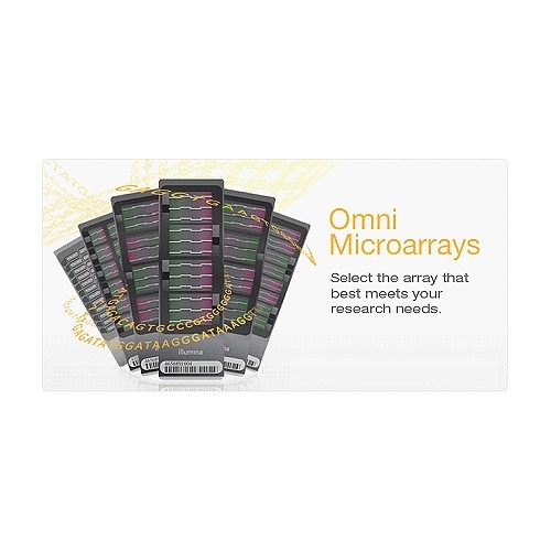 Whole-Genome Genotyping and Copy Number Variation Analysis